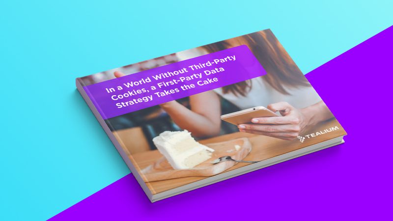 First Party Data Ebook Blog Image 800x450