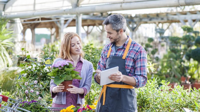 Shutterstock 182050307 800x450