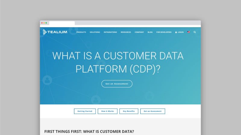 What Is A Customer Data Platform Cdp Cove01 800x450